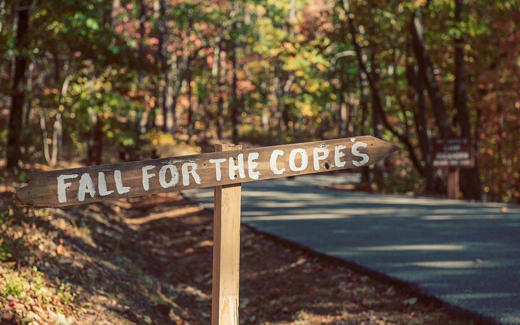 DIY Bride? An Event Planner's Methods