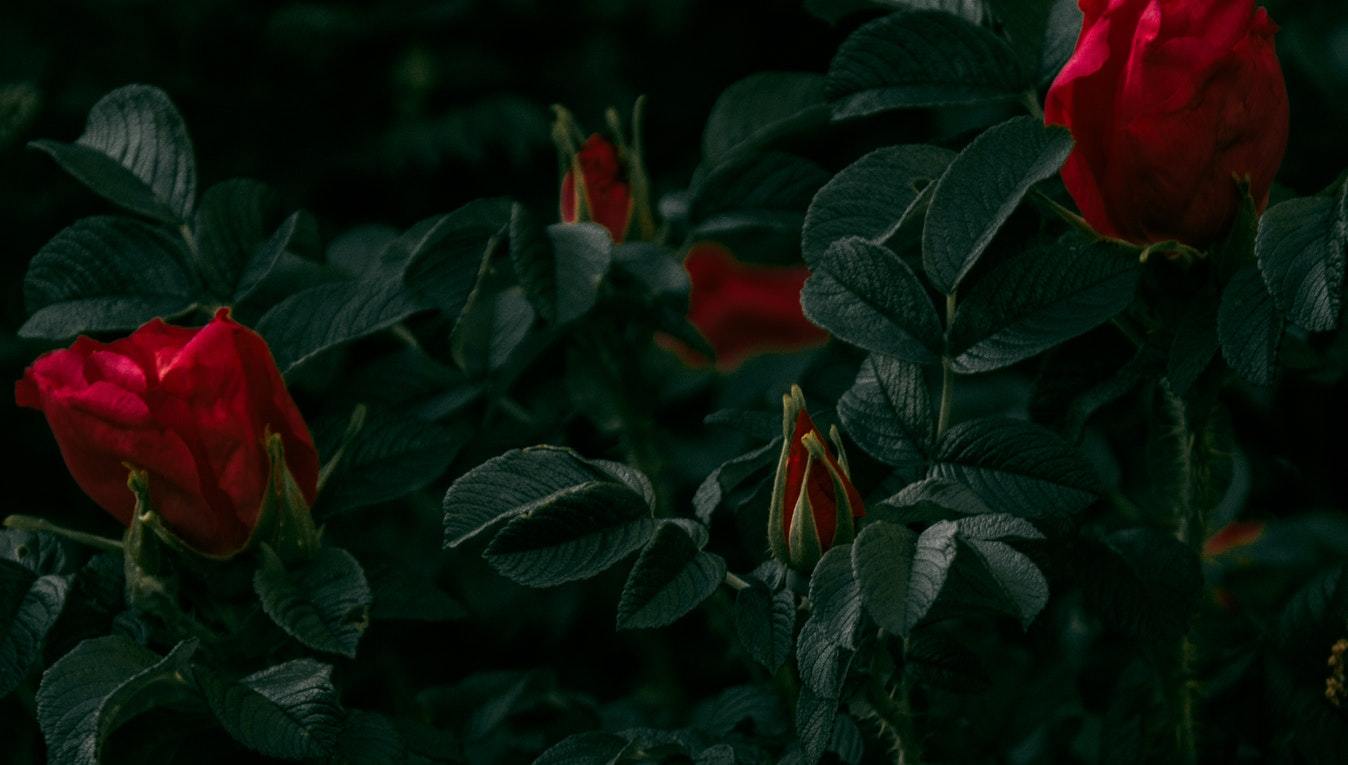 5 Things to Consider for Your Next Spring Celebration