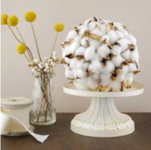 Wheat and Cotton