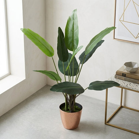 Potted Plant Decor