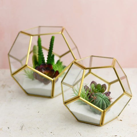 Terrariums