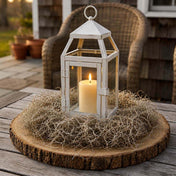 Spanish Moss Natural (125 cubic inches) - thumbnail number 7