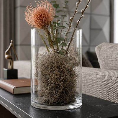 Spanish Moss Natural (125 cubic inches) - thumbnail number 9
