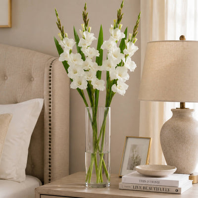 White gladiolus flower spray in a glass cylinder vase on a bedside table next to a lamp - thumbnail number 8