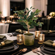 Mini Olive Tree 12in - thumbnail number 4