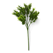 Green boxwood spray with a long stem on a white background - thumbnail number 1