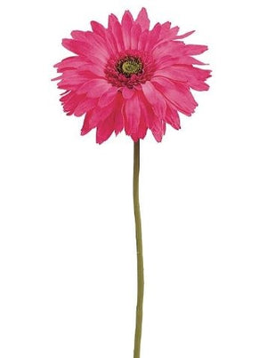 Extra Large 7" Bloom Gerbera Daisy Spray 29" Mauve Pink