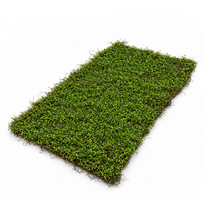 Faux Moss Leaf and Twig Mat 16x36