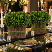 11" Standing Preserved Boxwood Arrangement - thumbnail number 5