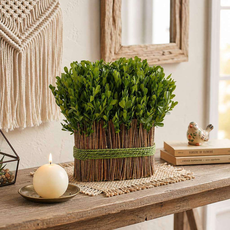 11" Standing Preserved Boxwood Arrangement - thumbnail number 7