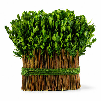 11" Standing Preserved Boxwood Arrangement