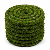 Preserved moss vine roll in a coil on a white background - thumbnail number 1