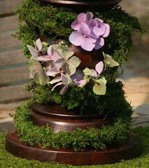 Preserved Moss Vine Roll 60 Feet