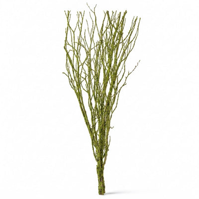 Birch Tree Branch Bundle Moss Coated 4ft