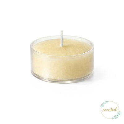 Richland Clear Cup Tealight Candles Ivory Vanilla Scented Set of 50