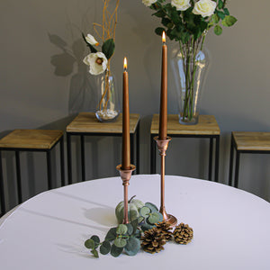 Richland Taper Candles 10" Brown Set of 10