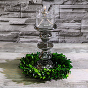 Richland Preserved Boxwood Wreath 8” Set of 12 - thumbnail number 4