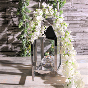 Richland Liquid Paraffin Fuel Cells 36 Hour Set of 12