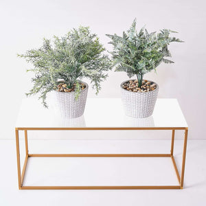 White Acrylic 24"x10" Plexiglass Sheets – 2-Pack Rectangular Side Plates with Protective Film