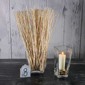 Richland Pillar Candle 2"x6" Light Ivory Set of 20