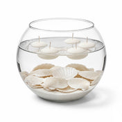 Natural Scallop Shells Pearl White Pack of 50 - thumbnail number 2