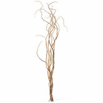 Curly Willow Tree Branch Bundle, 3-4 Feet