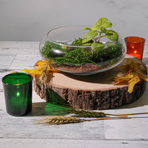 astland Floating Candle Dish Garden 8"