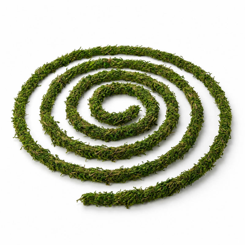 Natural Moss Vine Preserved 12ft - thumbnail number 1