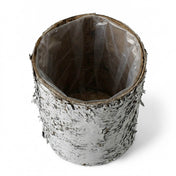 4.75x6" Whitewashed Birch Bark Vase with a clear plastic liner, isolated on a white background - thumbnail number 2