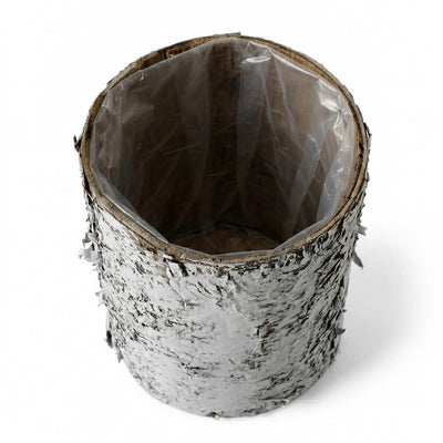 4.75x6" Whitewashed Birch Bark Vase with a clear plastic liner, isolated on a white background - thumbnail number 2