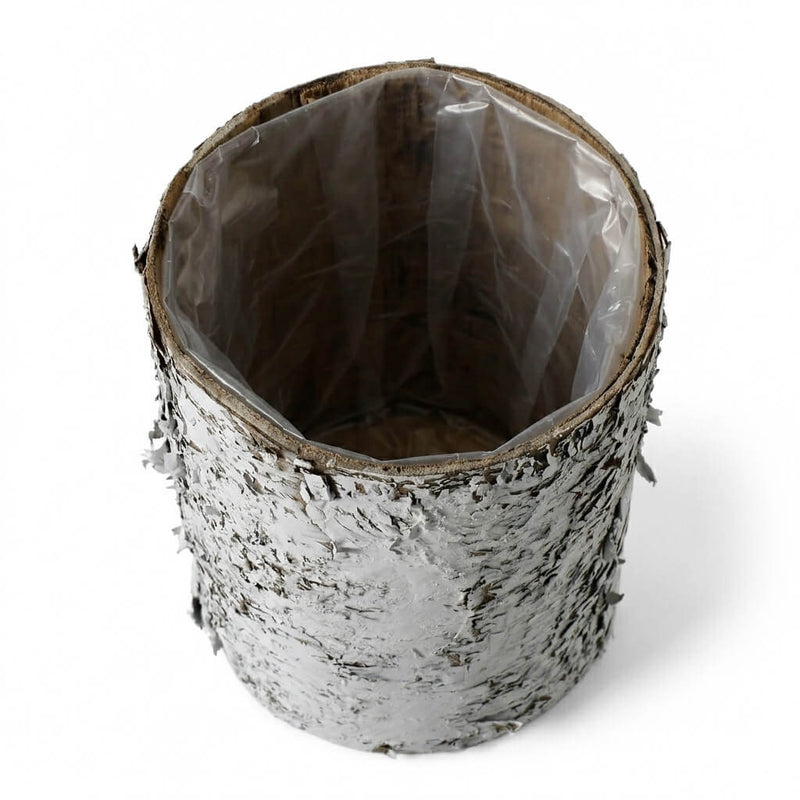 4.75x6" Whitewashed Birch Bark Vase with a clear plastic liner, isolated on a white background - thumbnail number 2