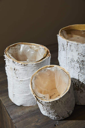 Whitewashed Birch Bark Vase 4.75x6