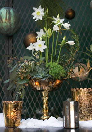 Gold Desiray Glass Compote 9.5" x 8"