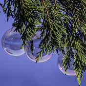 Richland Glass Ornaments 2.5” - thumbnail number 3