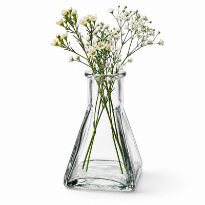 Tempe Bud Vase holding delicate white flowers - thumbnail number 2