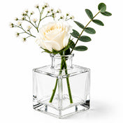 Richland Glass Bud Vase 3" Clear Square Set of 12 - thumbnail number 2