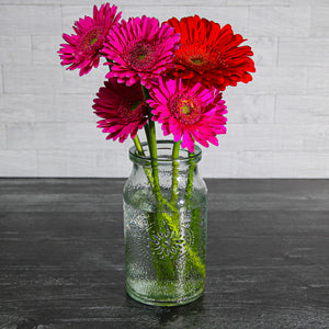 Richland Hickory Farmhouse Jar 7"