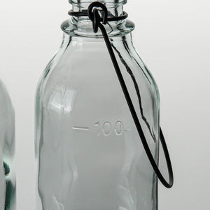 Richland Vintage Bottle Hanging Glass Vase Set of 12