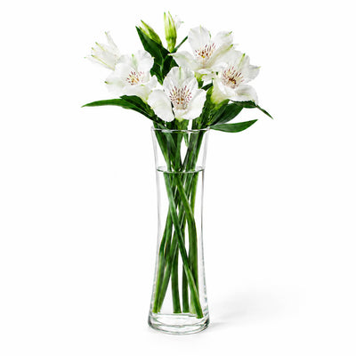 White alstroemeria flowers in an 8" Sabrina bud vase on a white background - thumbnail number 2