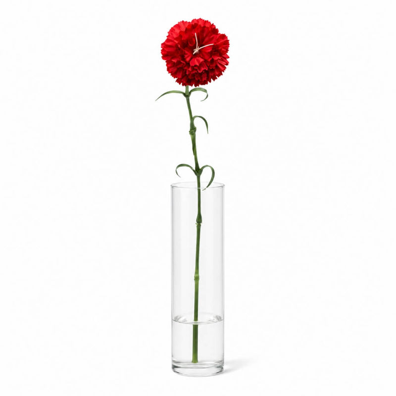 27" red carnation in a tall glass cylinder vase on a white background - thumbnail number 2