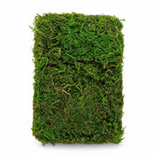 Compressed block of natural preserved green reindeer moss - thumbnail number 1