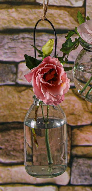 Richland Vintage Bottle Hanging Glass Vase Set of 12