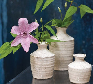 Richland Hari Budvase 3.25" x 4.5" Set of 12