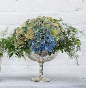 Desiray Glass Compote 6.75" x 8" Silver