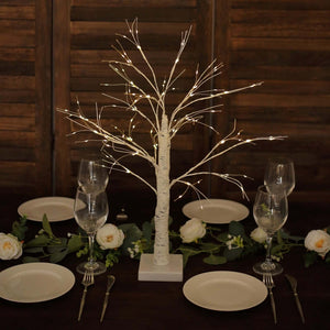 2ft Battery Operated Lighted Birch Tree – White/Warm White Rechargeable LED Fairy Lights for Table Décor