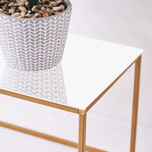 White Acrylic 24"x10" Plexiglass Sheets – 2-Pack Rectangular Side Plates with Protective Film