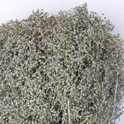Silver Sparkle Preserved Baby's Breath 4oz Bundle - thumbnail number 2