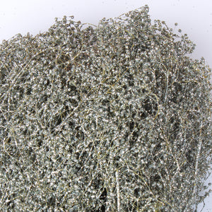 Silver Sparkle Preserved Baby's Breath 4oz Bundle