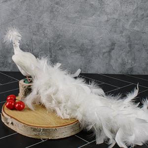 White Feathered Peacocks 17in