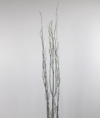 Birch Branch Bundle White Sparkle Iridescent 34-44in - thumbnail number 2